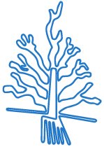arbol-01